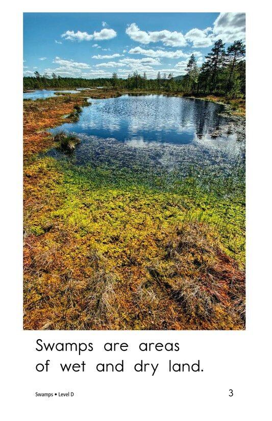 Swamps绘本故事第3页