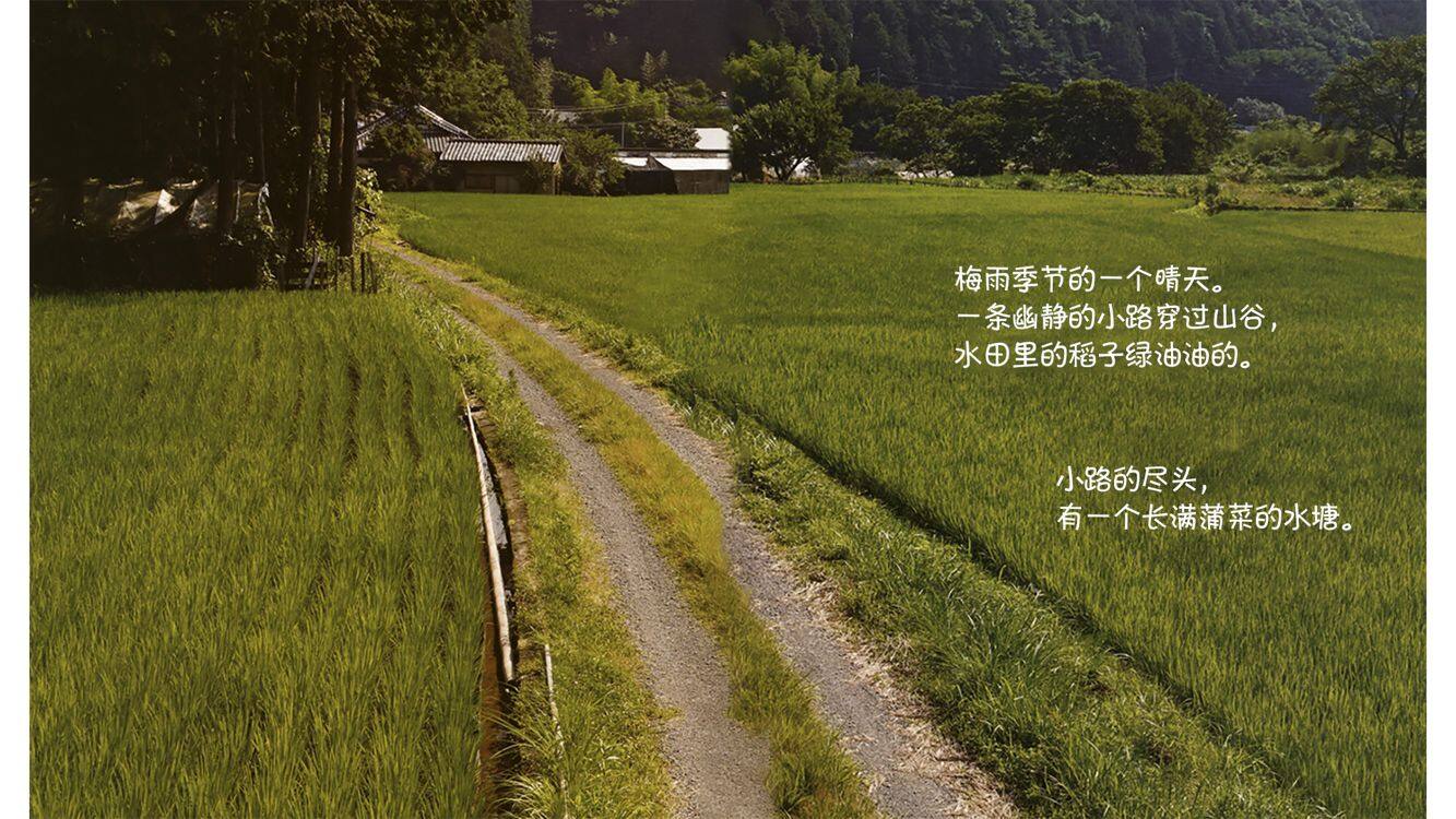 诞生了！大田鳖绘本故事第3页