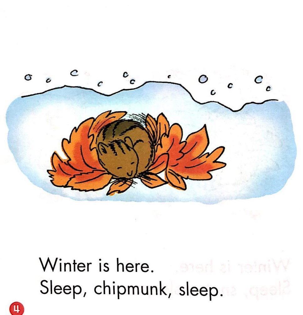Winter is here绘本故事第4页