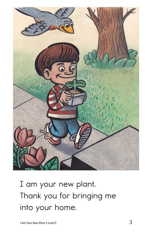 I Am Your New Plant绘本故事第3页