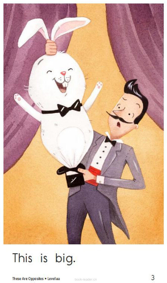 These Are Opposites绘本故事第3页