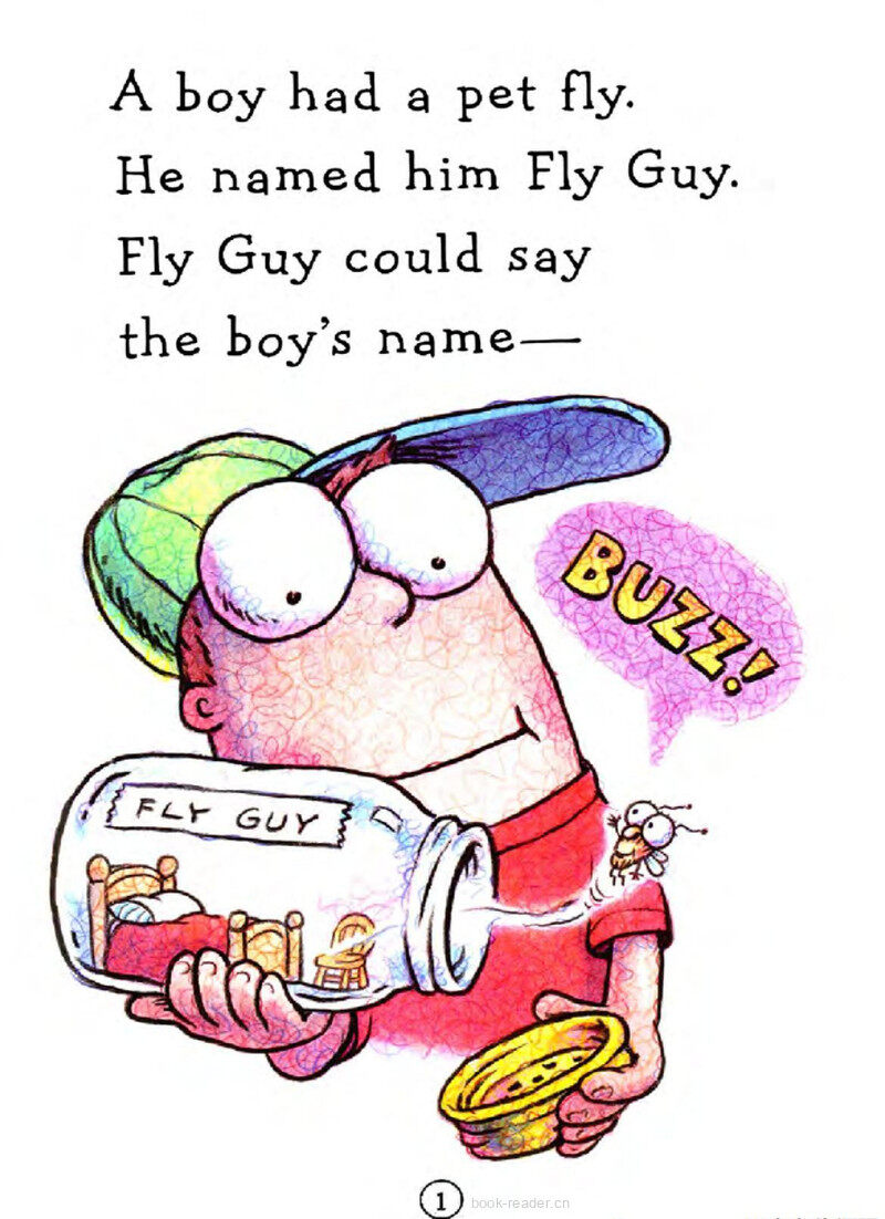  I Spy Fly Guy绘本故事第3页