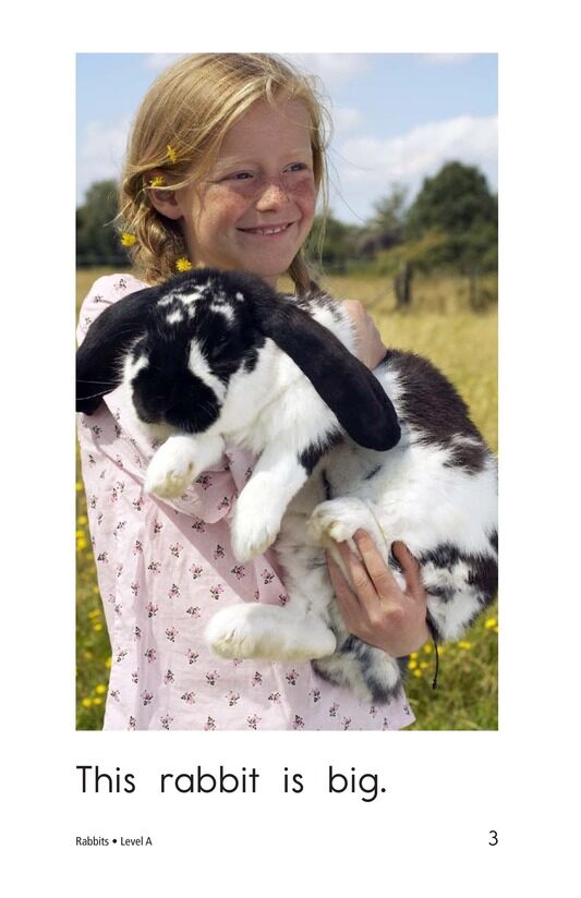 Rabbits绘本故事第3页