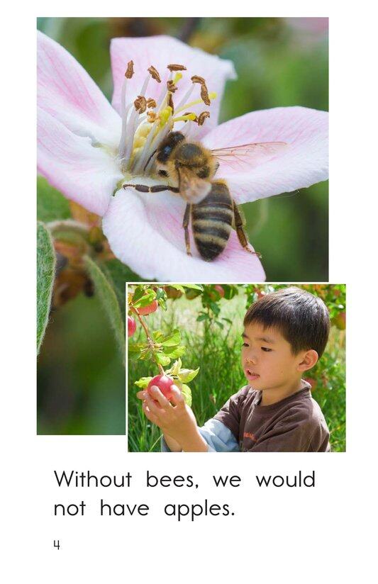 Bees Feed Me绘本故事第4页