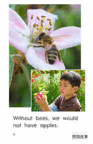 Bees Feed Me绘本故事第4页