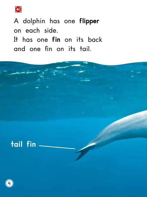 Dolphins绘本故事第5页