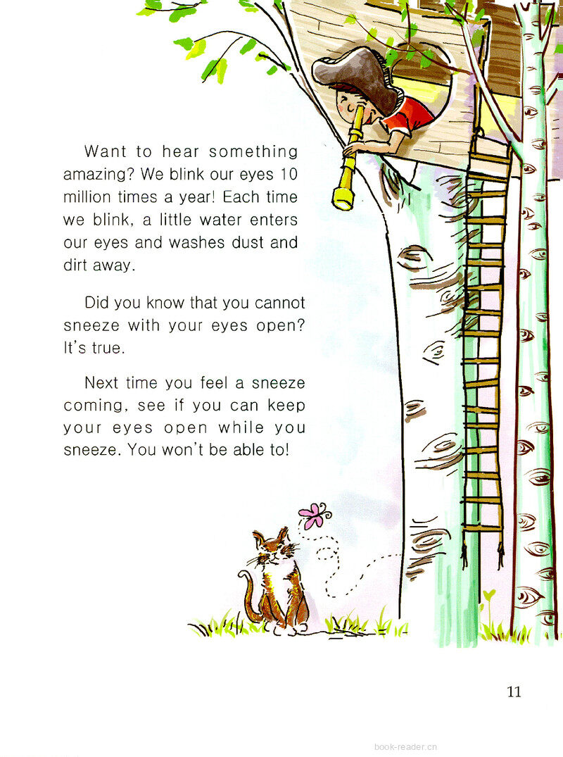 Our Amazing Eyes绘本故事第3页