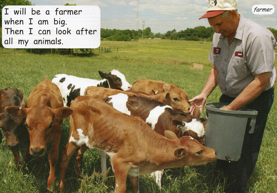 what could I be绘本故事第5页