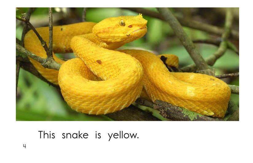 Snake Colors绘本故事第4页