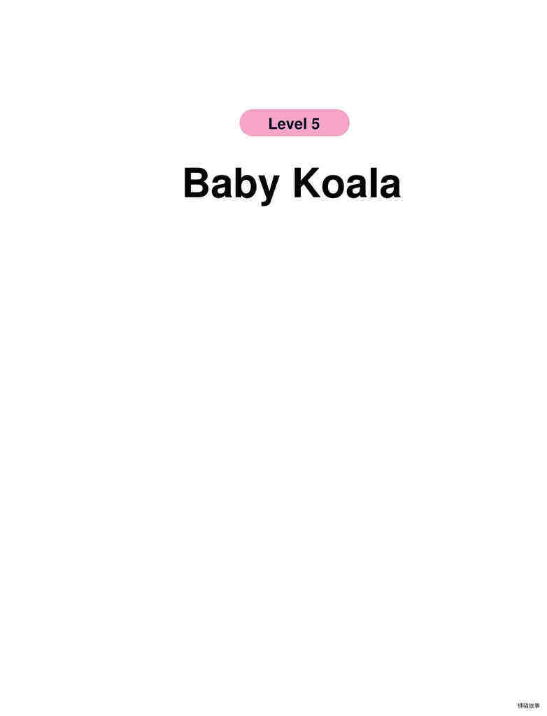 Baby Koala