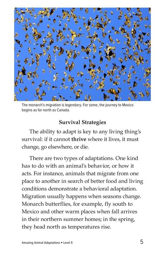 Amazing Animal Adaptations绘本故事第4页