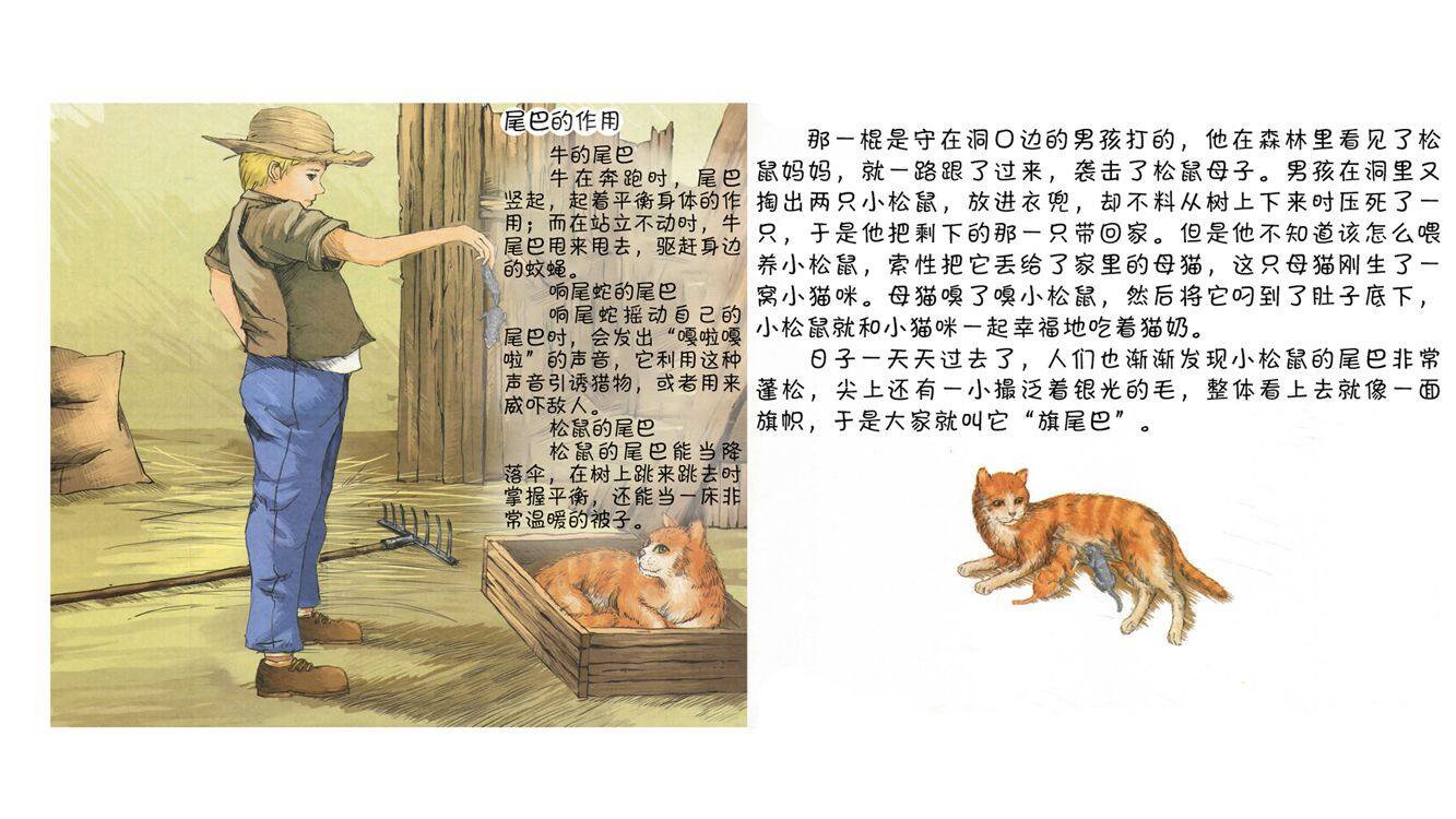 活泼的松鼠旗尾巴绘本故事第5页