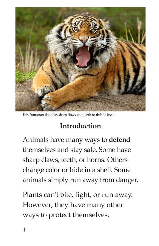 Plant Defenses绘本故事第3页