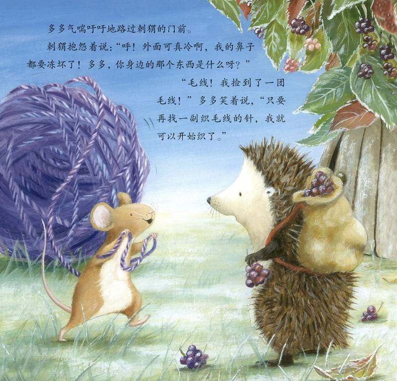 暖房子经典绘本·成长系列——织毛线的多多绘本故事第3页