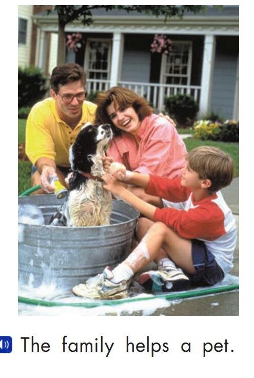 Helping pets绘本故事第5页