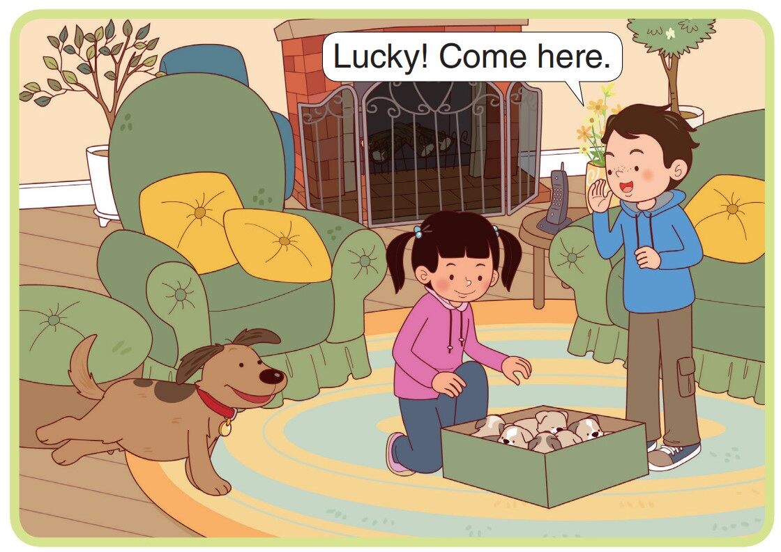 Taking Care of Puppies绘本故事第4页