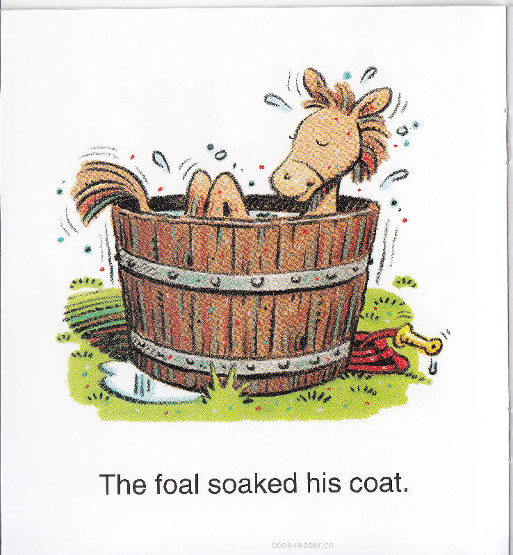 Whoa Foal!绘本故事第5页