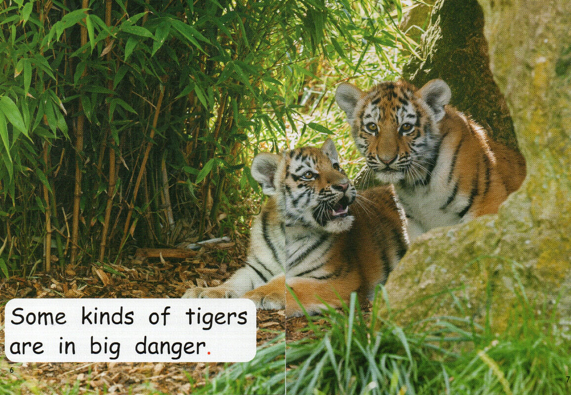 endangered animals绘本故事第5页