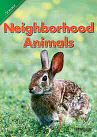 Neighborhood animals