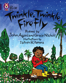 Twinkle Twinkle FireFly