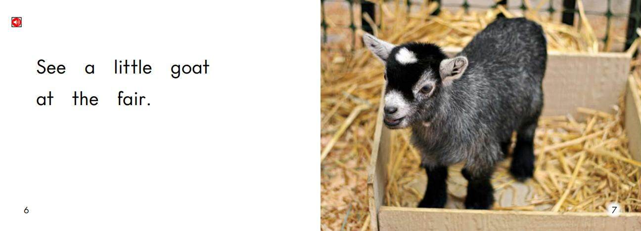 At the Fair绘本故事第5页