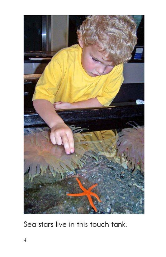At a Touch Tank绘本故事第4页