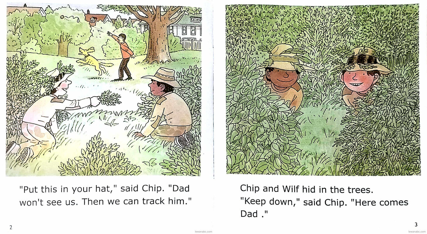 Safari Adventure绘本故事第4页