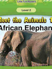 African Elephant