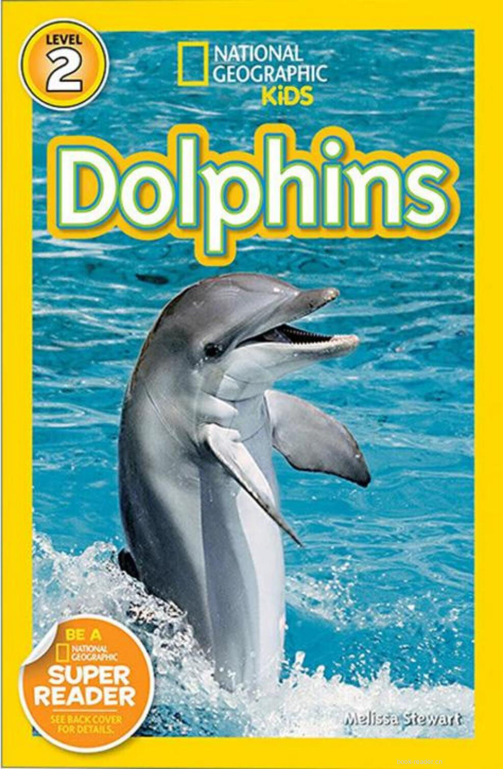 Dolphins绘本故事第2页