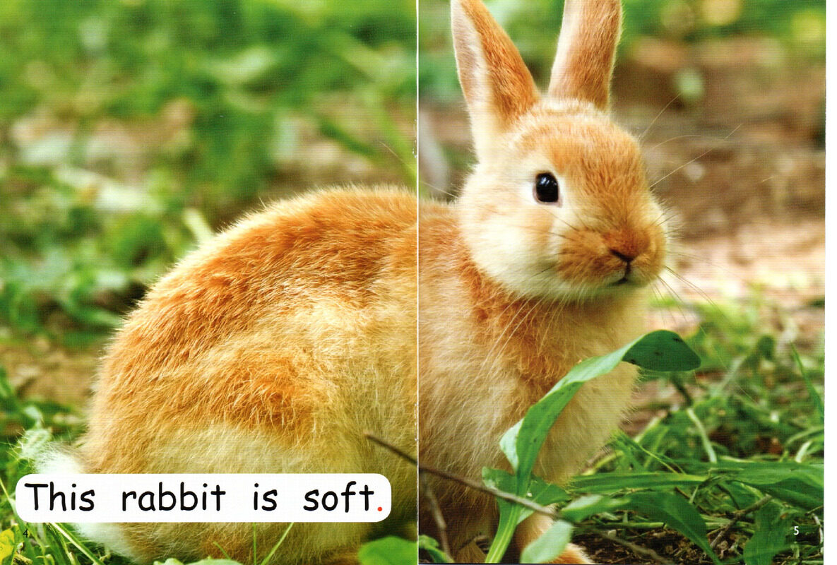 what is soft？绘本故事第4页