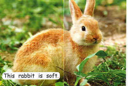 what is soft？绘本故事第4页