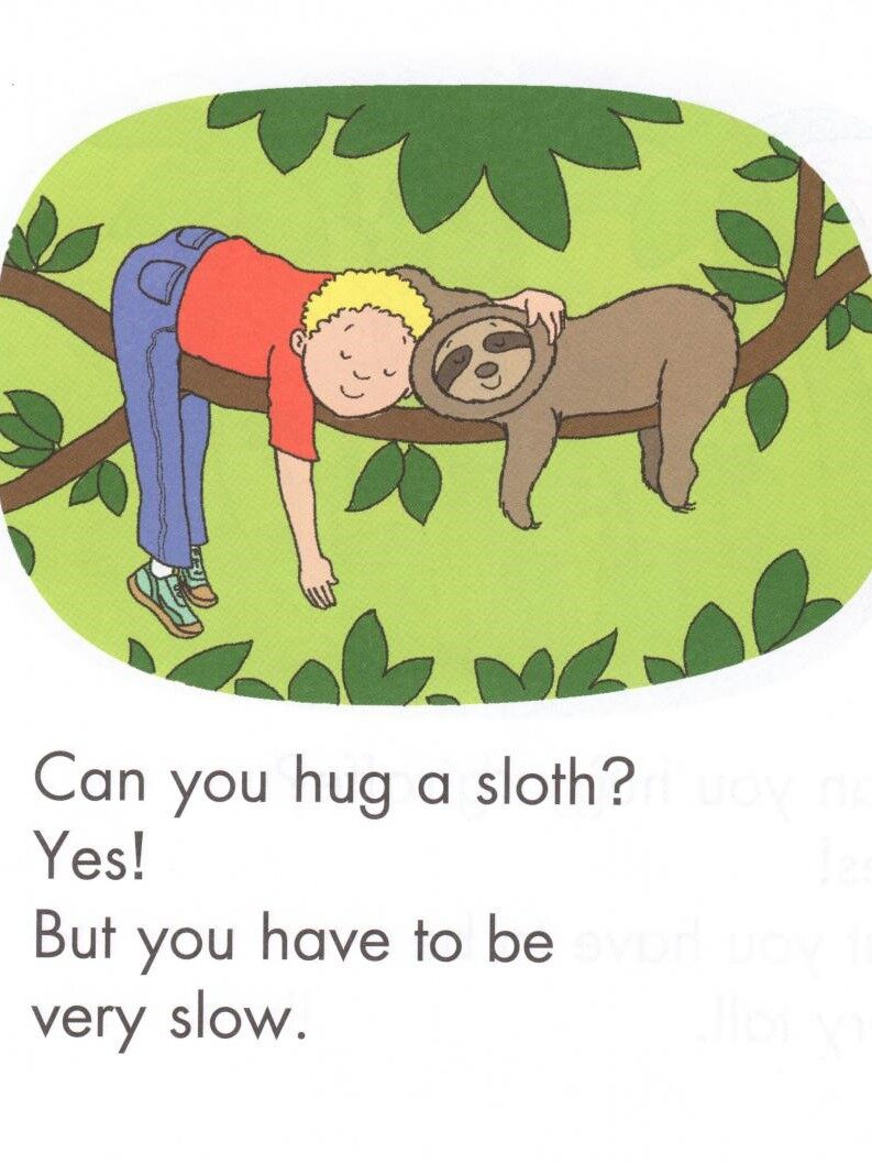 Can You Hug a Bug绘本故事第4页