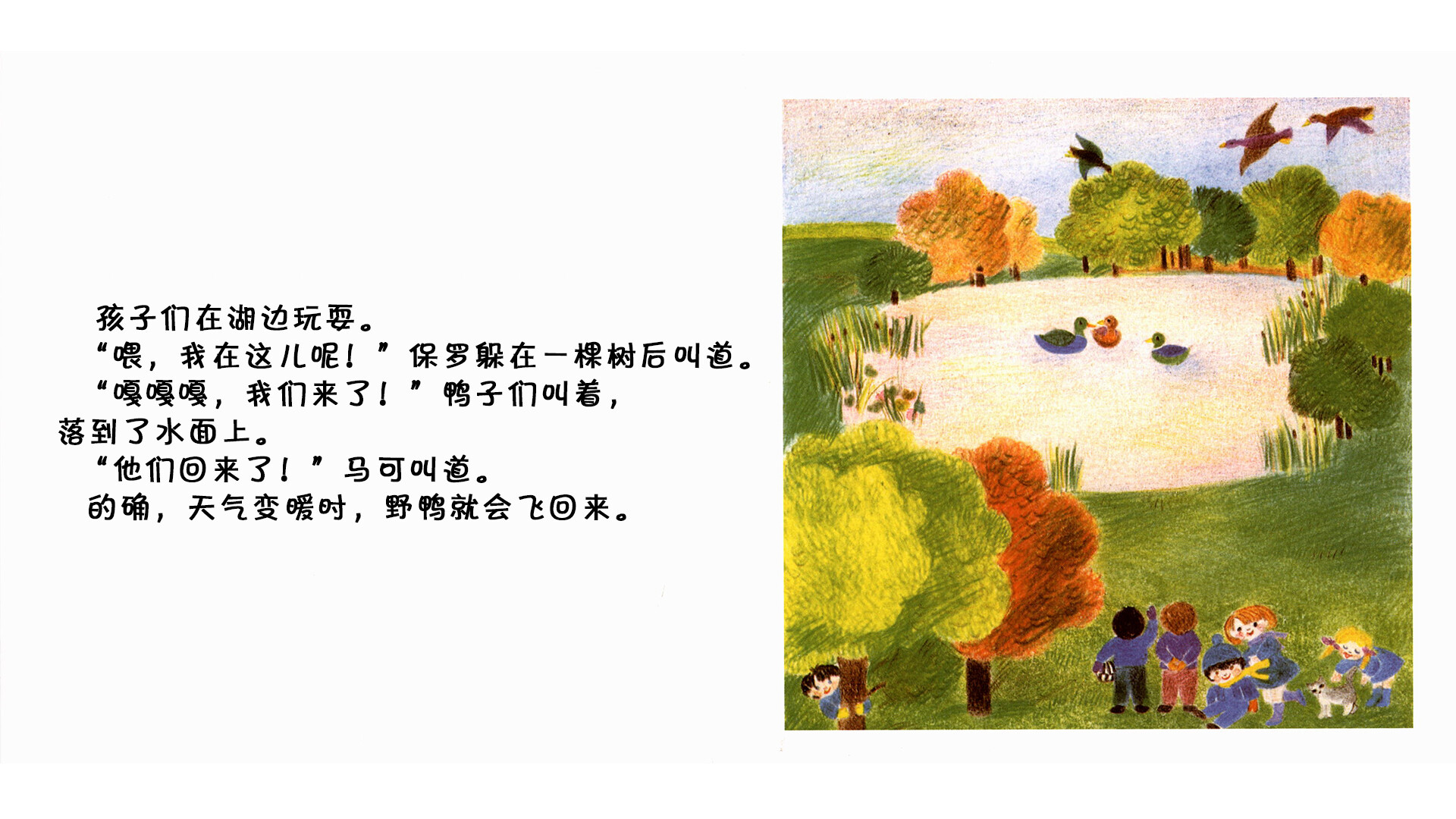 野鸭绘本故事第3页