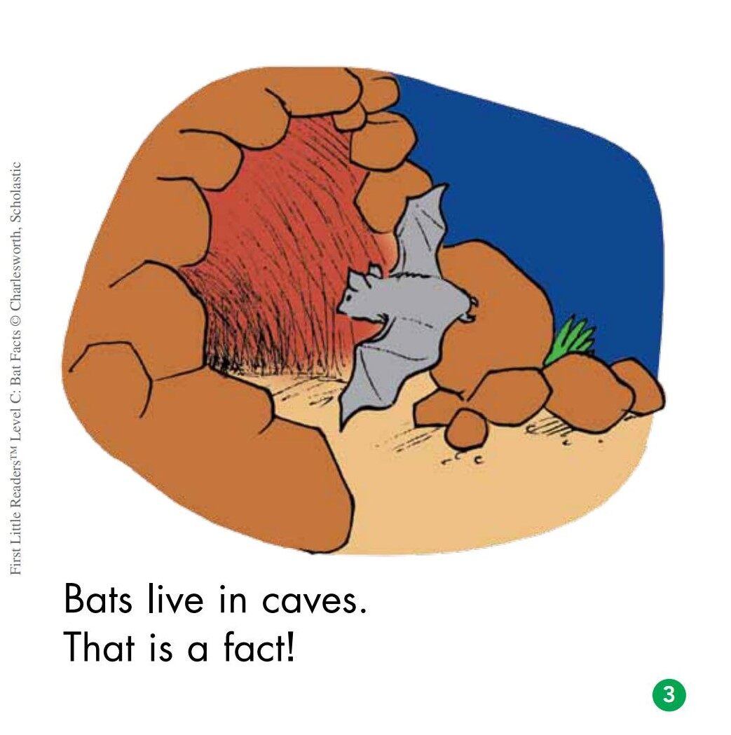 Bat Facts绘本故事第4页