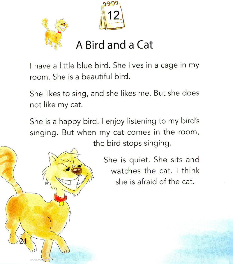 A Bird and a Cat绘本故事第2页