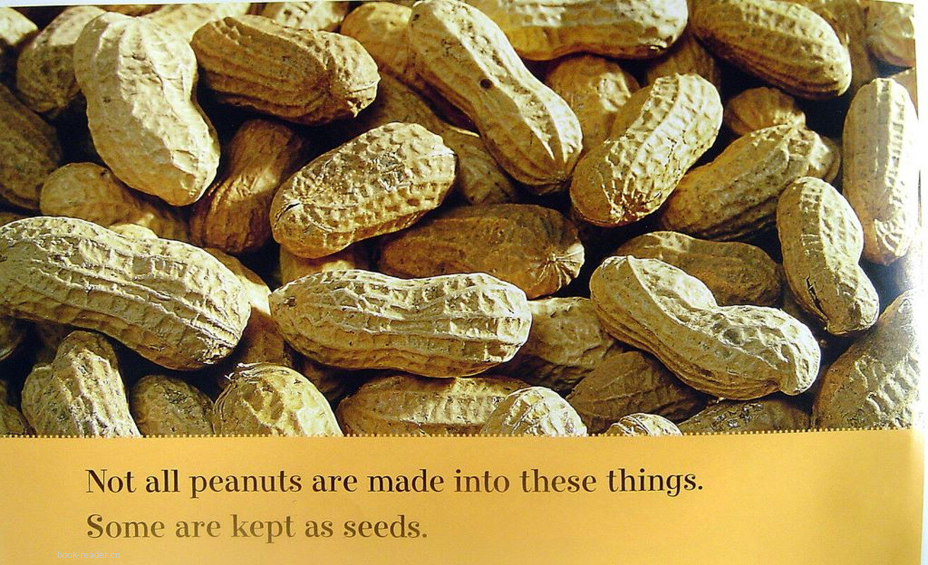 peanuts绘本故事第5页