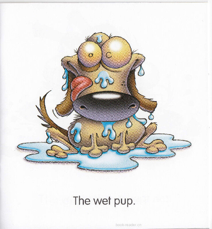 The Wet Pup绘本故事第4页
