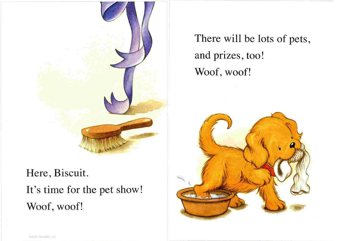 Biscuit Wins a Prize绘本故事第3页