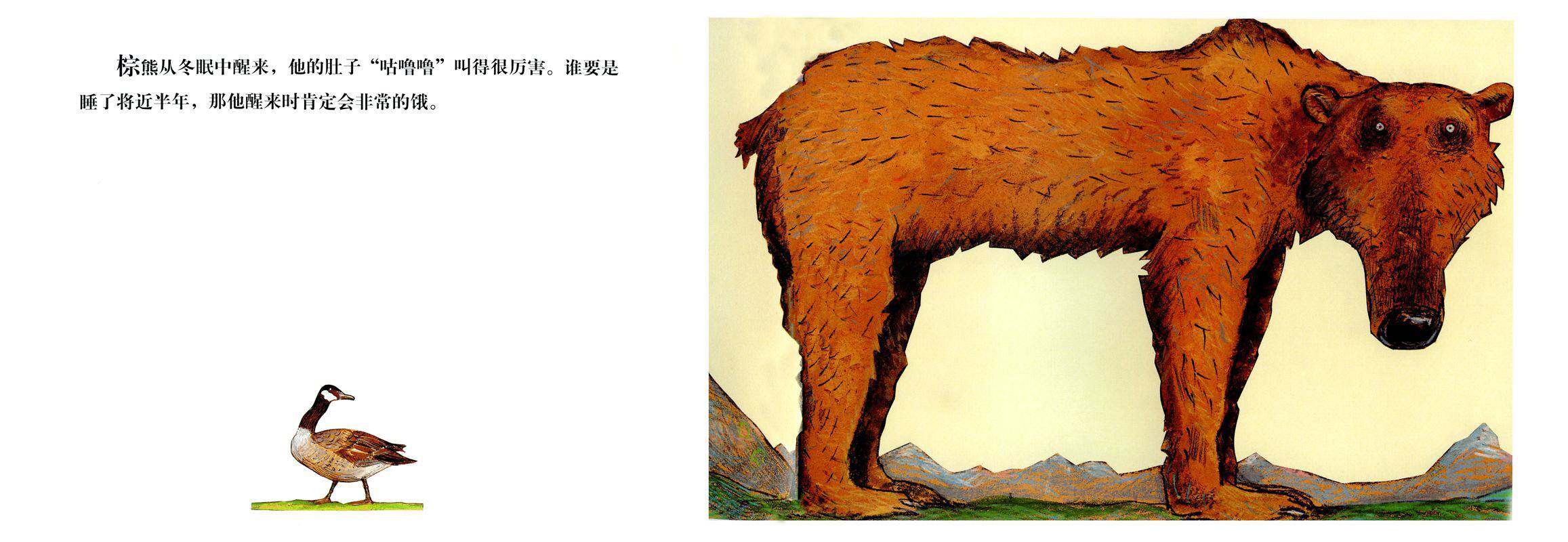 棕熊的神奇事绘本故事第3页