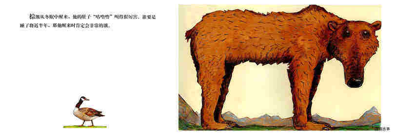 棕熊的神奇事绘本故事第3页