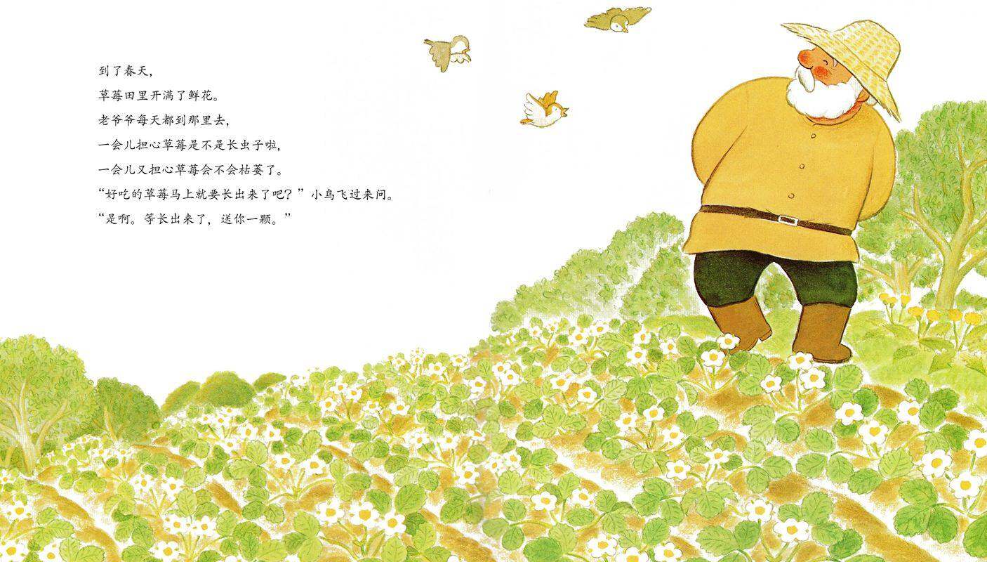 善平爷爷的草莓绘本故事第4页