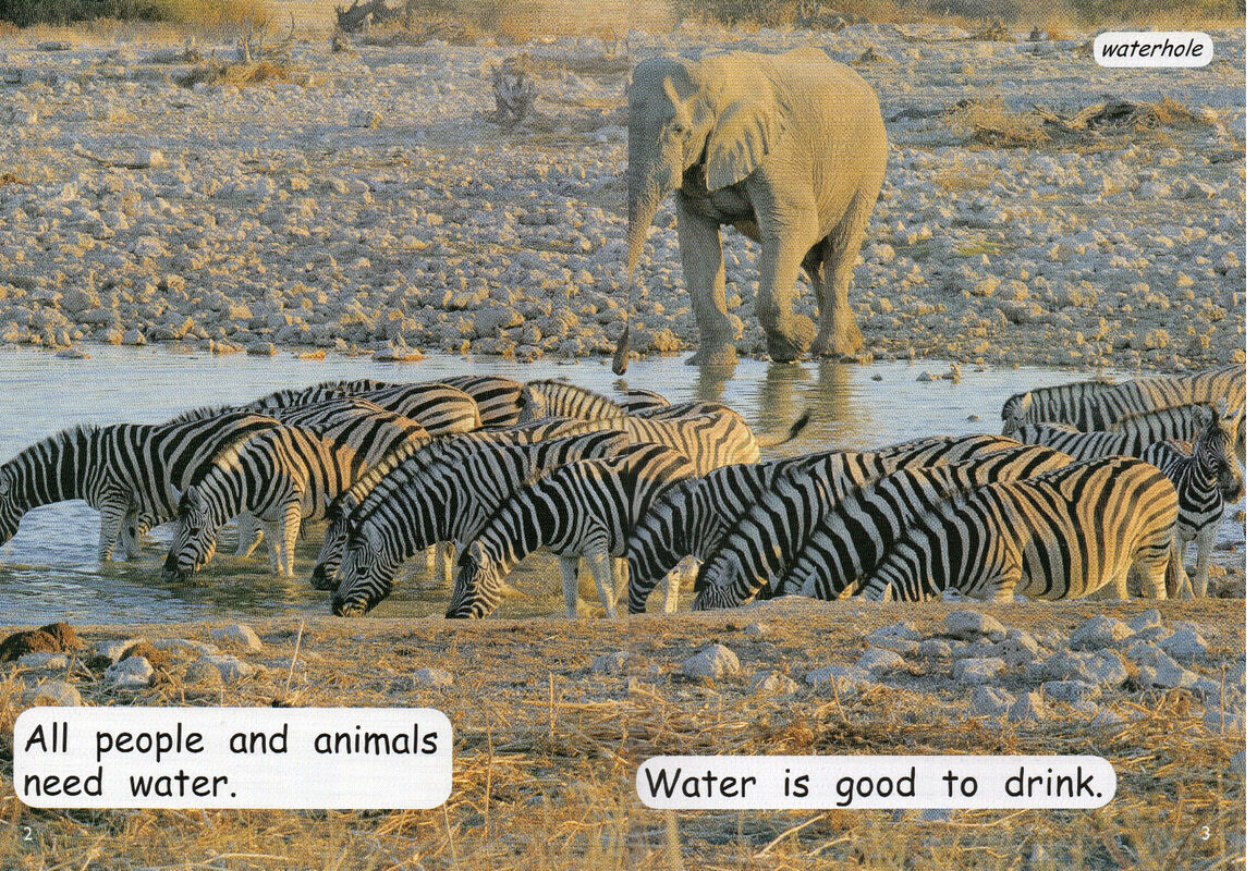 water from rain绘本故事第3页