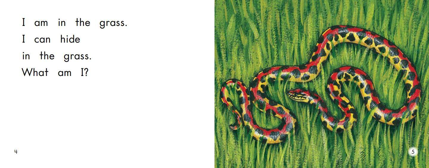 What am I绘本故事第4页