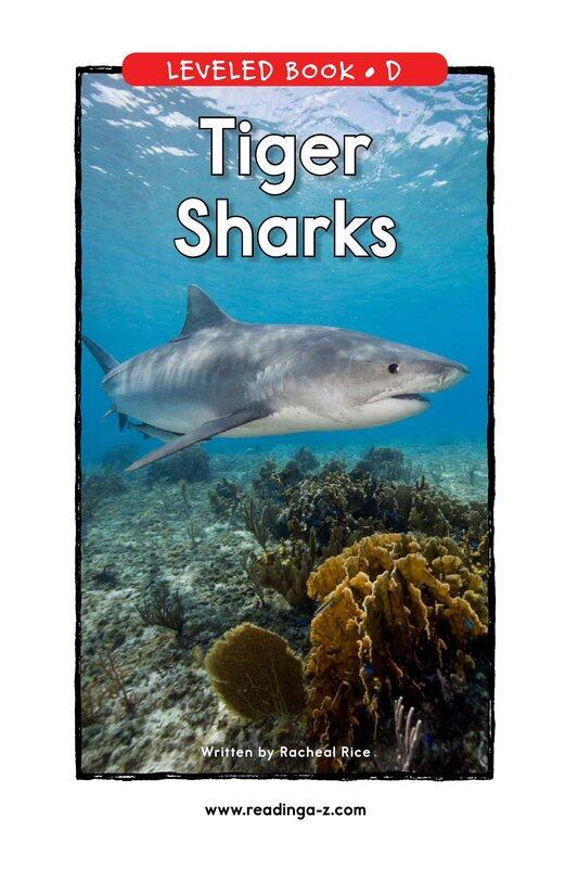 Tiger Sharks绘本故事第2页