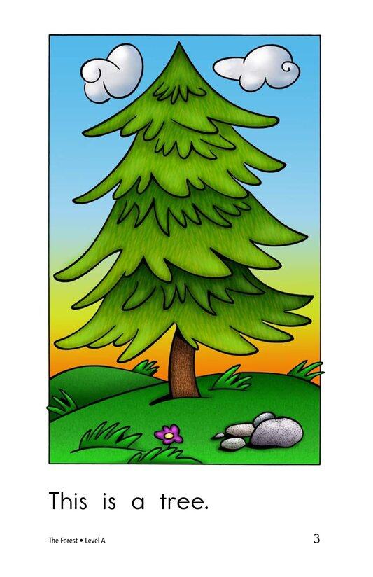 The Forest绘本故事第3页