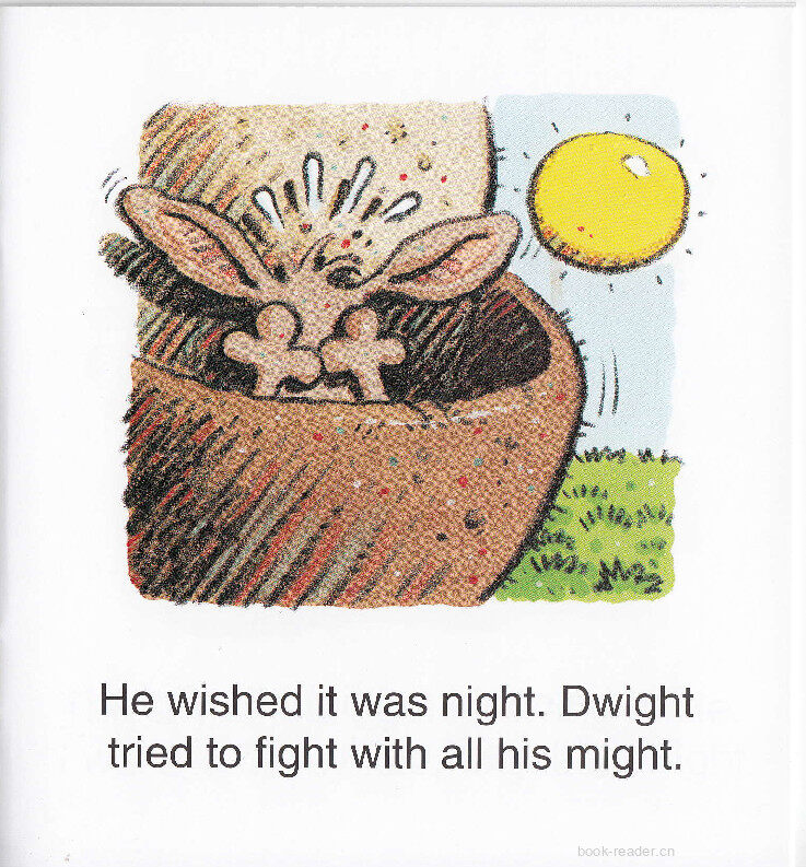 What a Sight绘本故事第4页