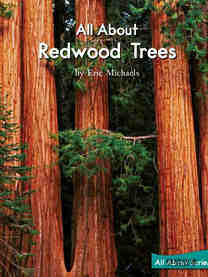 All About Redwood Trees