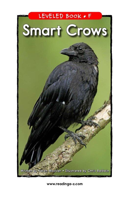 Smart Crows绘本故事第2页