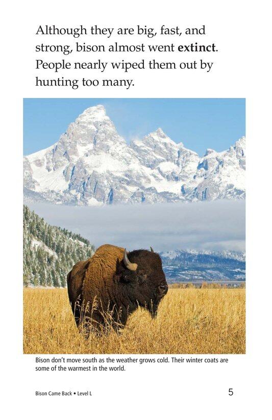 Bison Came Back绘本故事第4页