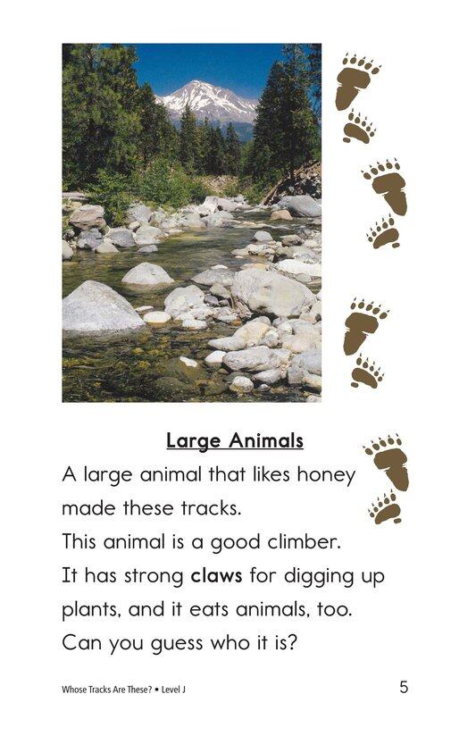 Whose Tracks Are These绘本故事第4页